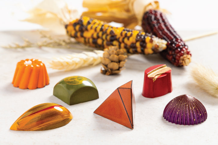 Introducing Fall Chocolates from Cacao and Cardamom | Fall Chocolates Collection